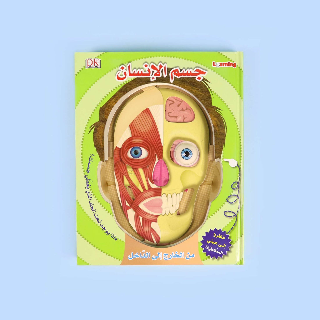 كتاب جسم الإنسان من الخارج إلى الداخل DK للأطفال كتاب علوم تفاعلي عن جسم الإنسان