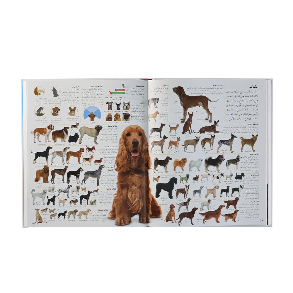 صور داخلية 2 من الموسوعة المصوّرة الشاملة 