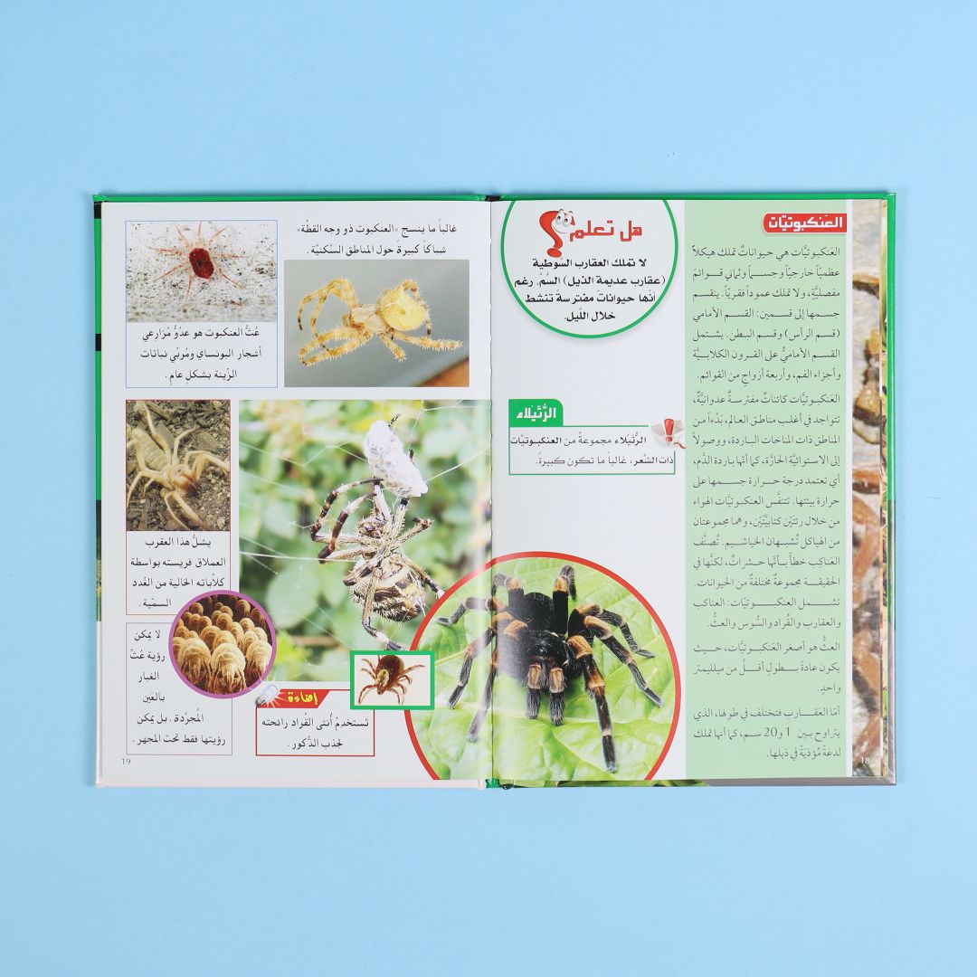 صفحات داخلية من كتاب من موسوعتي التعليمية الأولى. موسوعة مبسطة لدعم الطلاب ورفع مستواهم العلمي