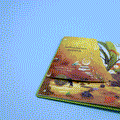 صفحات  4كتاب مملكة الحيوان الحشرات كتاب أطفال تعليمي ثلاثي الأيعاد يعرّف بعالم الحشرات وطريقة حياتها