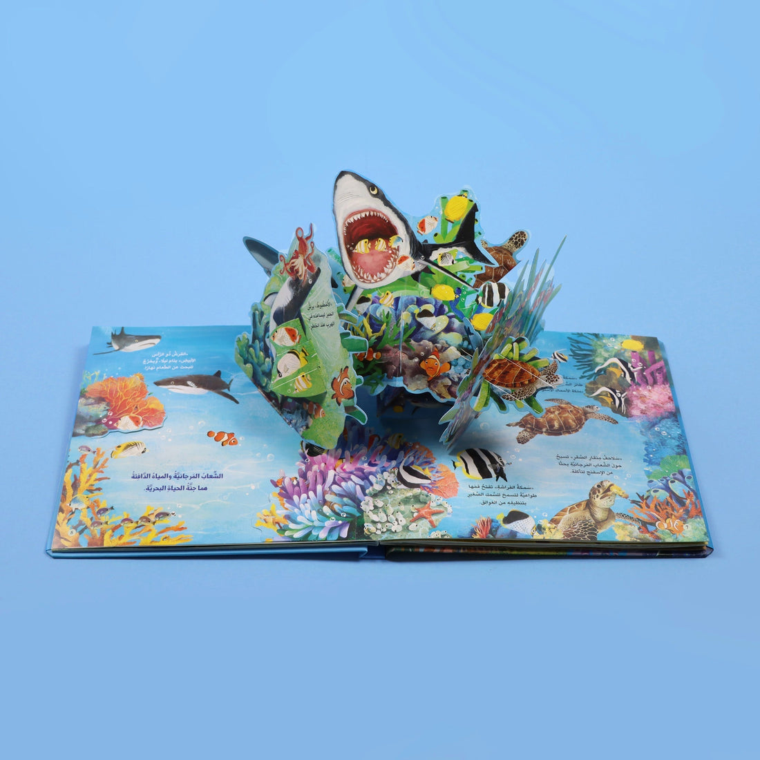 كتاب مملكة الحيوان المحيط كتاب أطفال تعليمي يعرّف بالحياة البحرية والكائنات التي تعيش في المحيط