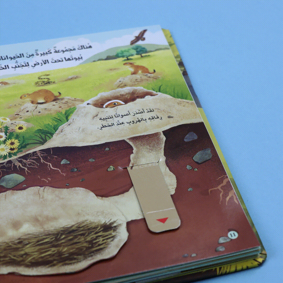 صفحات 3 كتاب مملكة الحيوان البرية كتاب أطفال تعليمي يعرّف بحيوانات البرية وطريقة حياتها