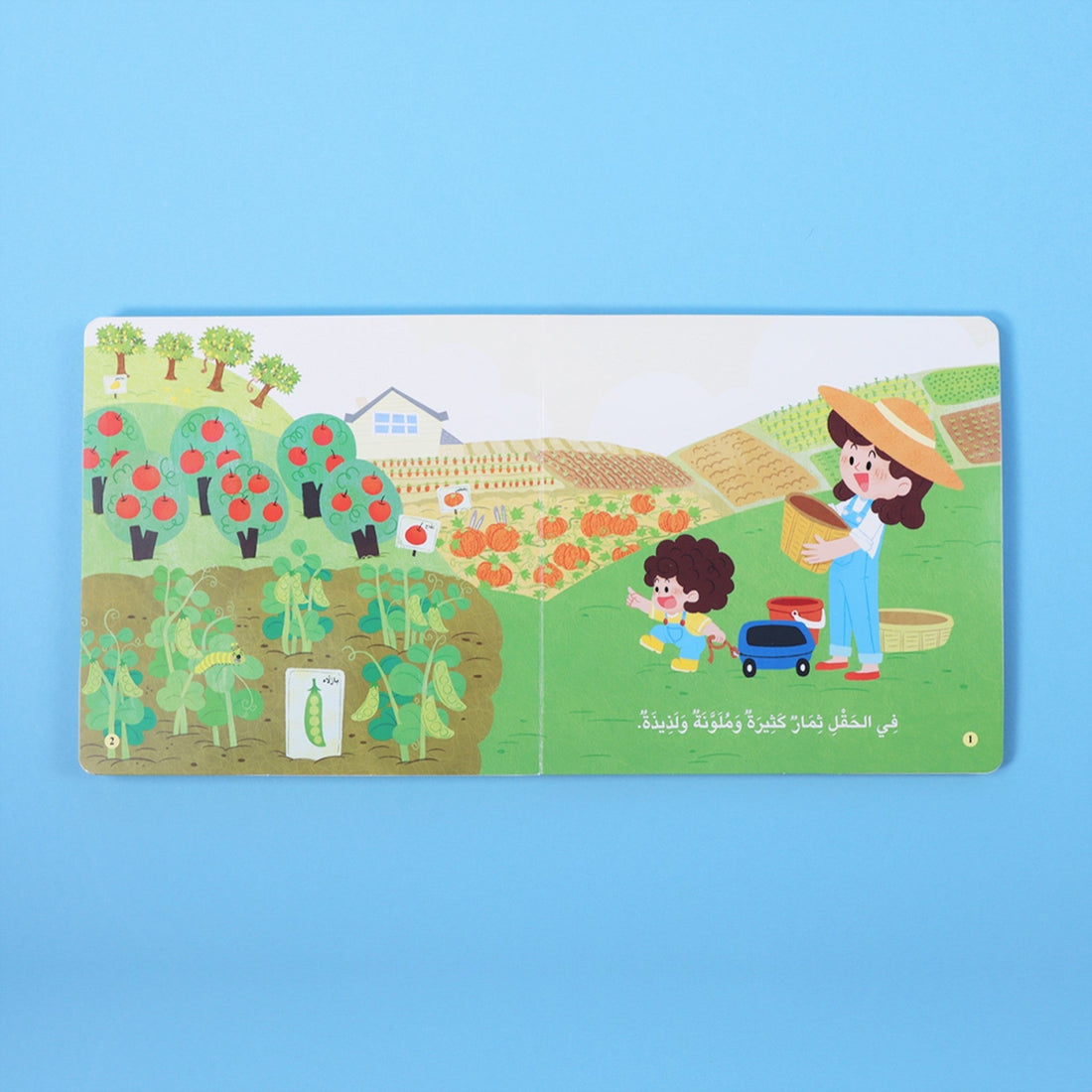 كتاب المكتشف الصغير الثمار الملونة كتاب أطفال تفاعلي يعرّف الأطفال على الفواكه وألوانها وفوائدها